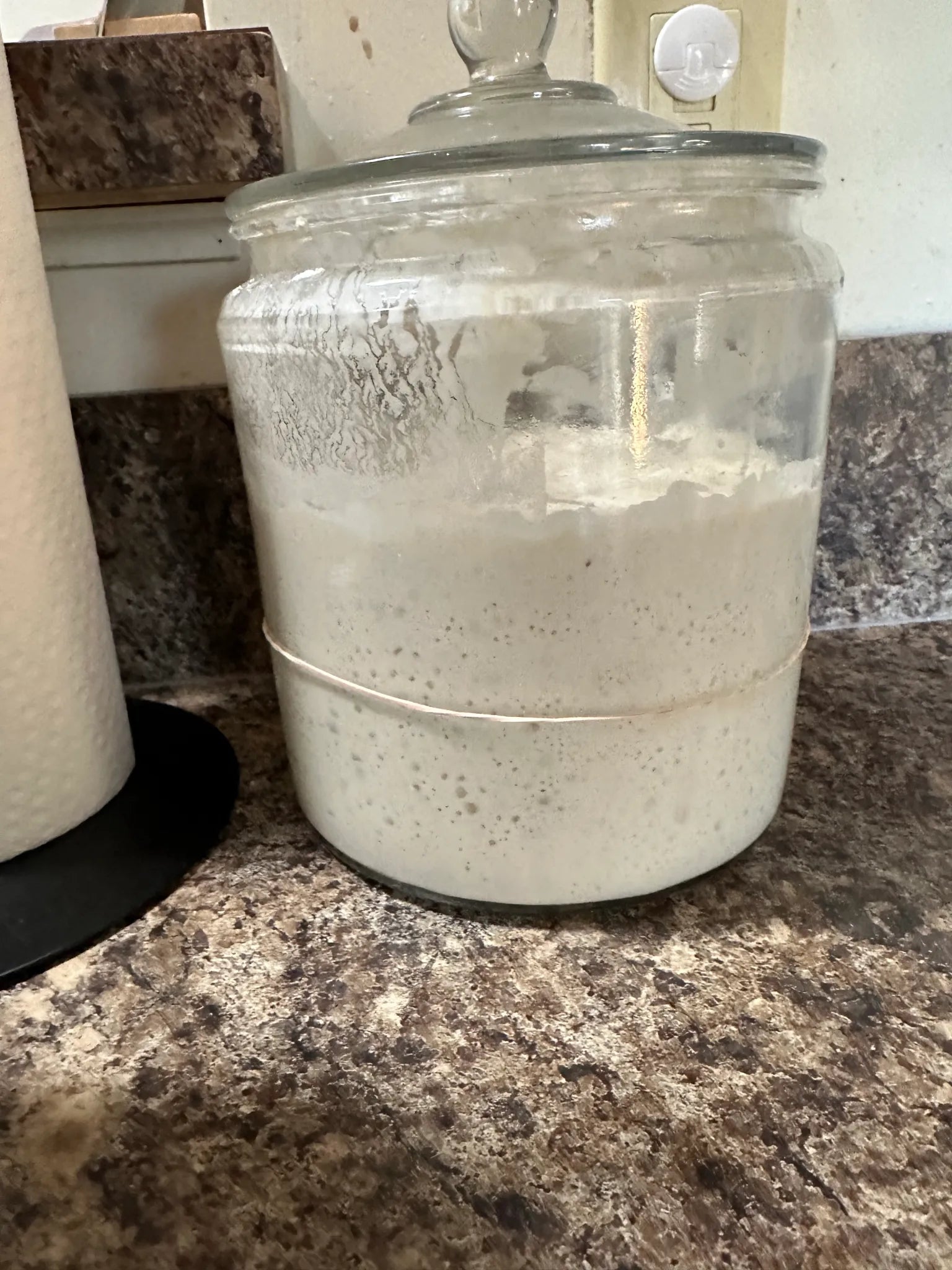 Sourdough Starter!