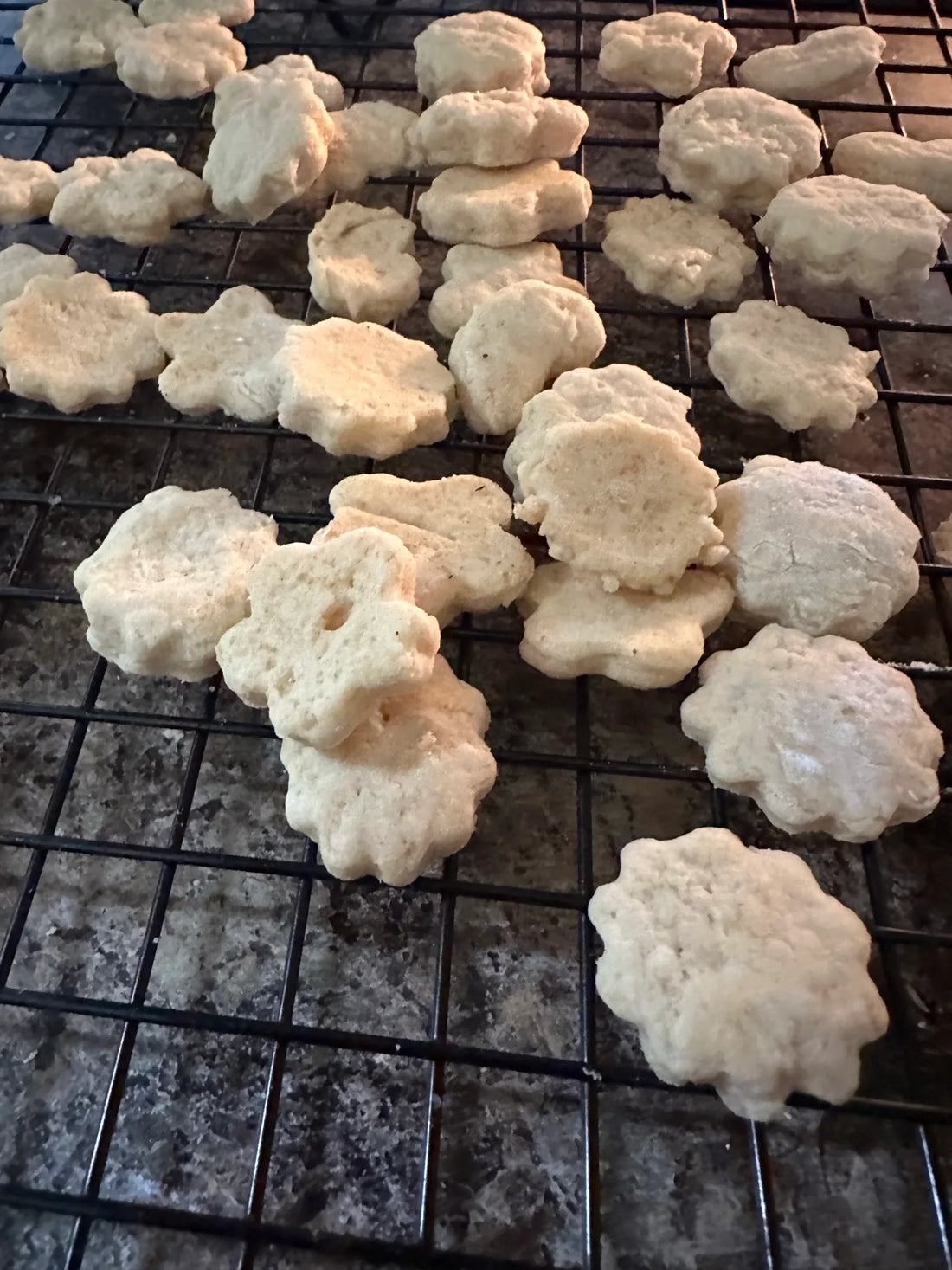 Homemade animal crackers!