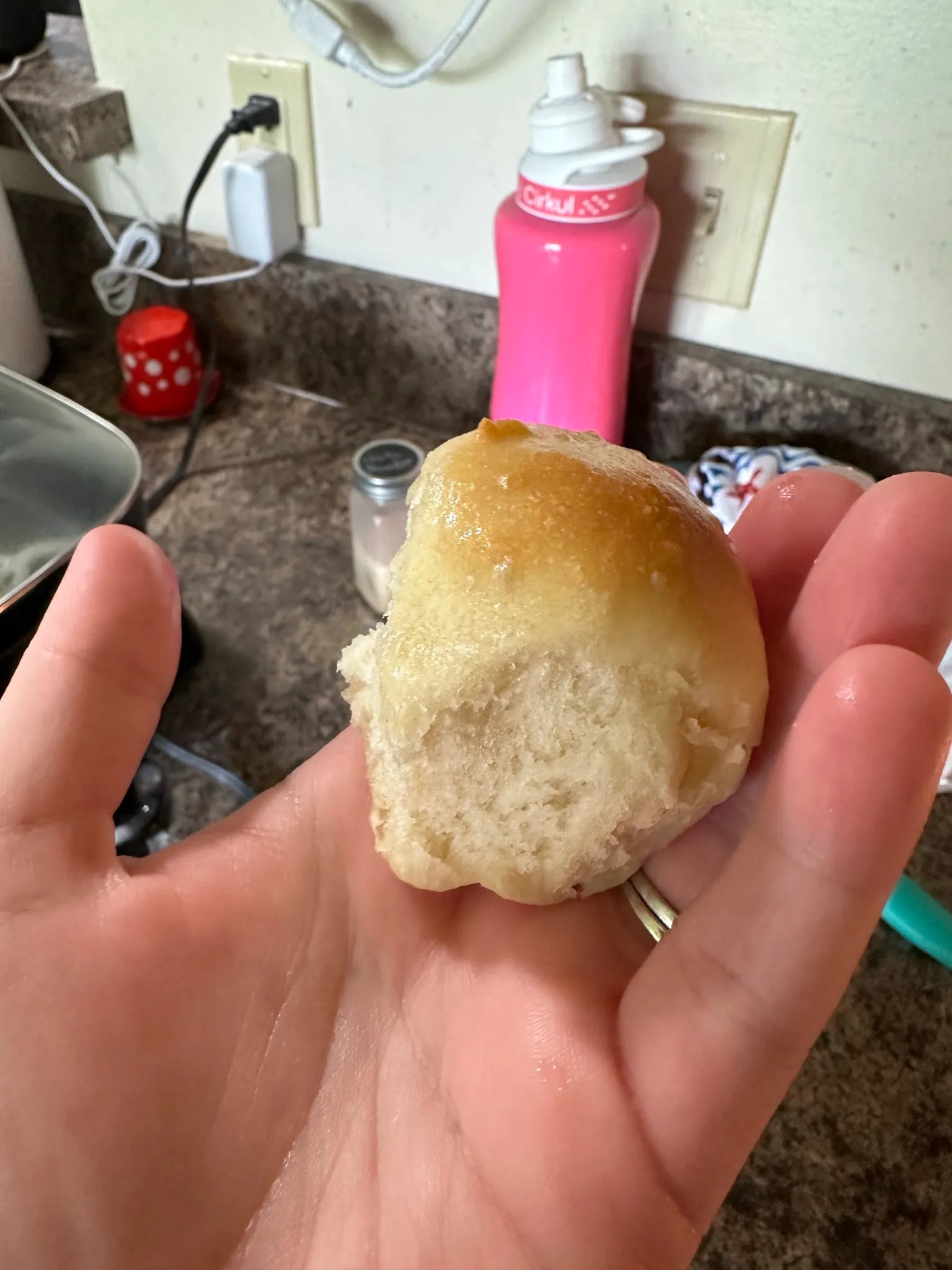 Homemade Sourdough Rolls