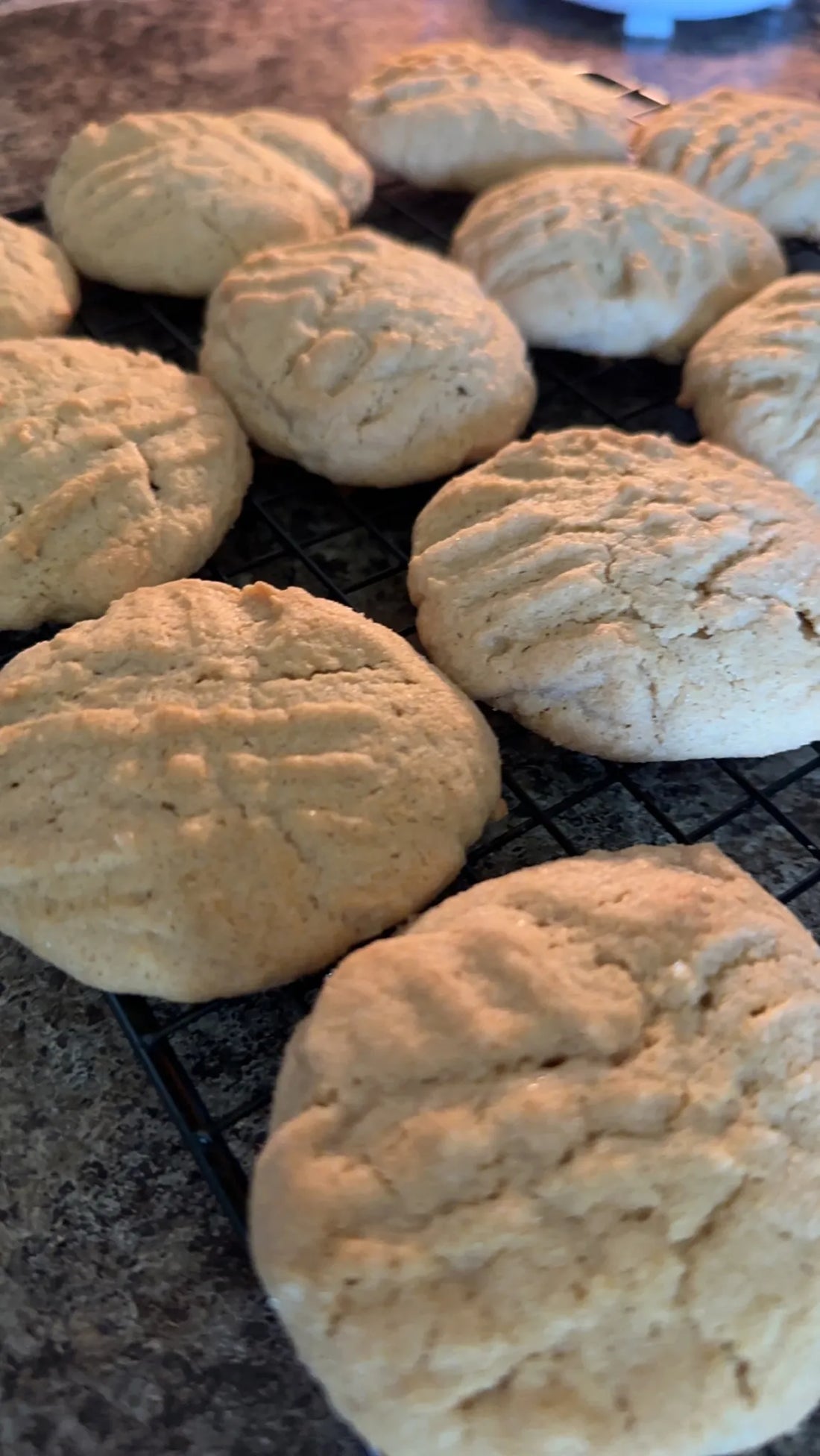 Sourdough Peanut Butter Cookies