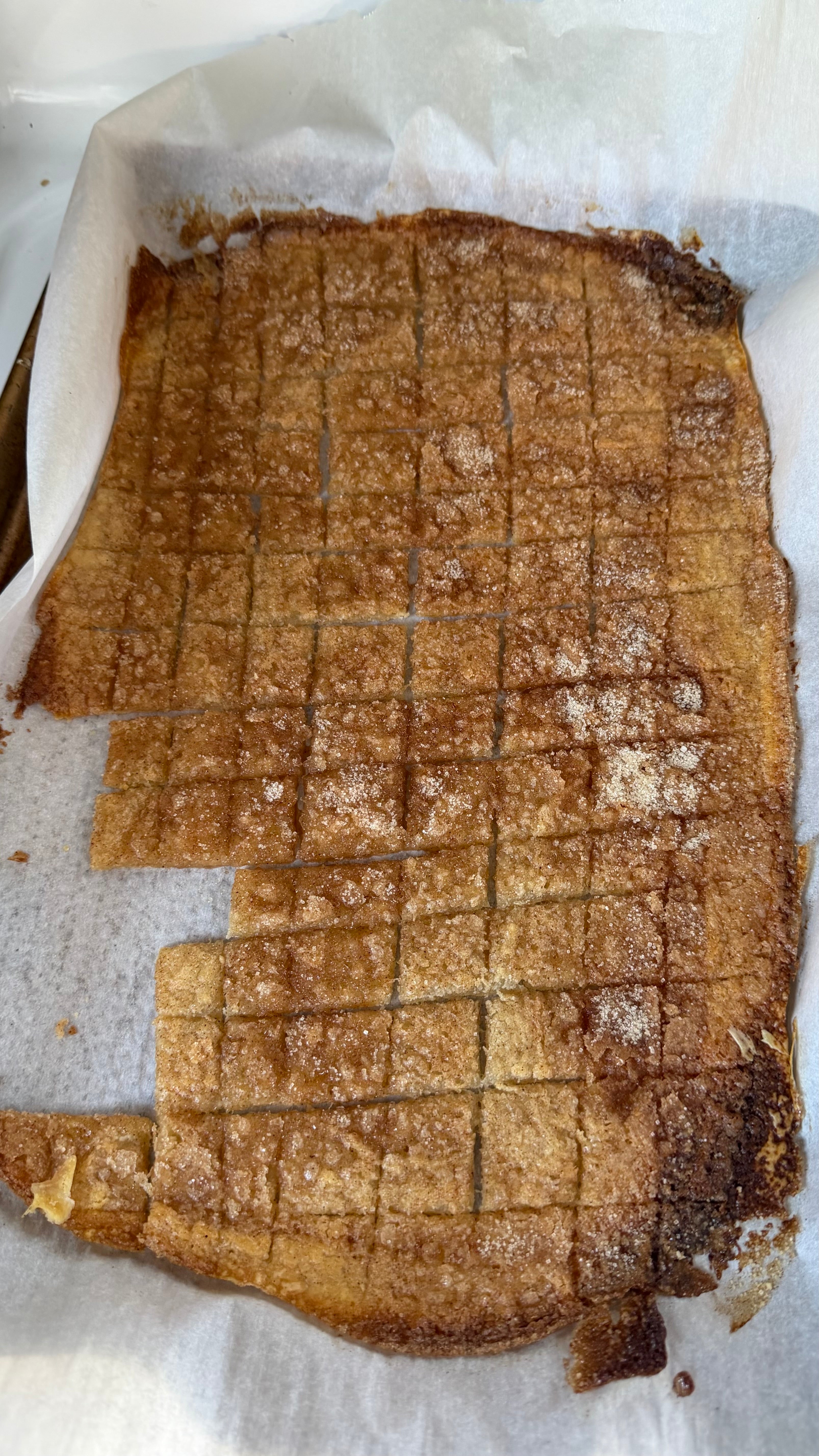 Sourdough discard cracker snack