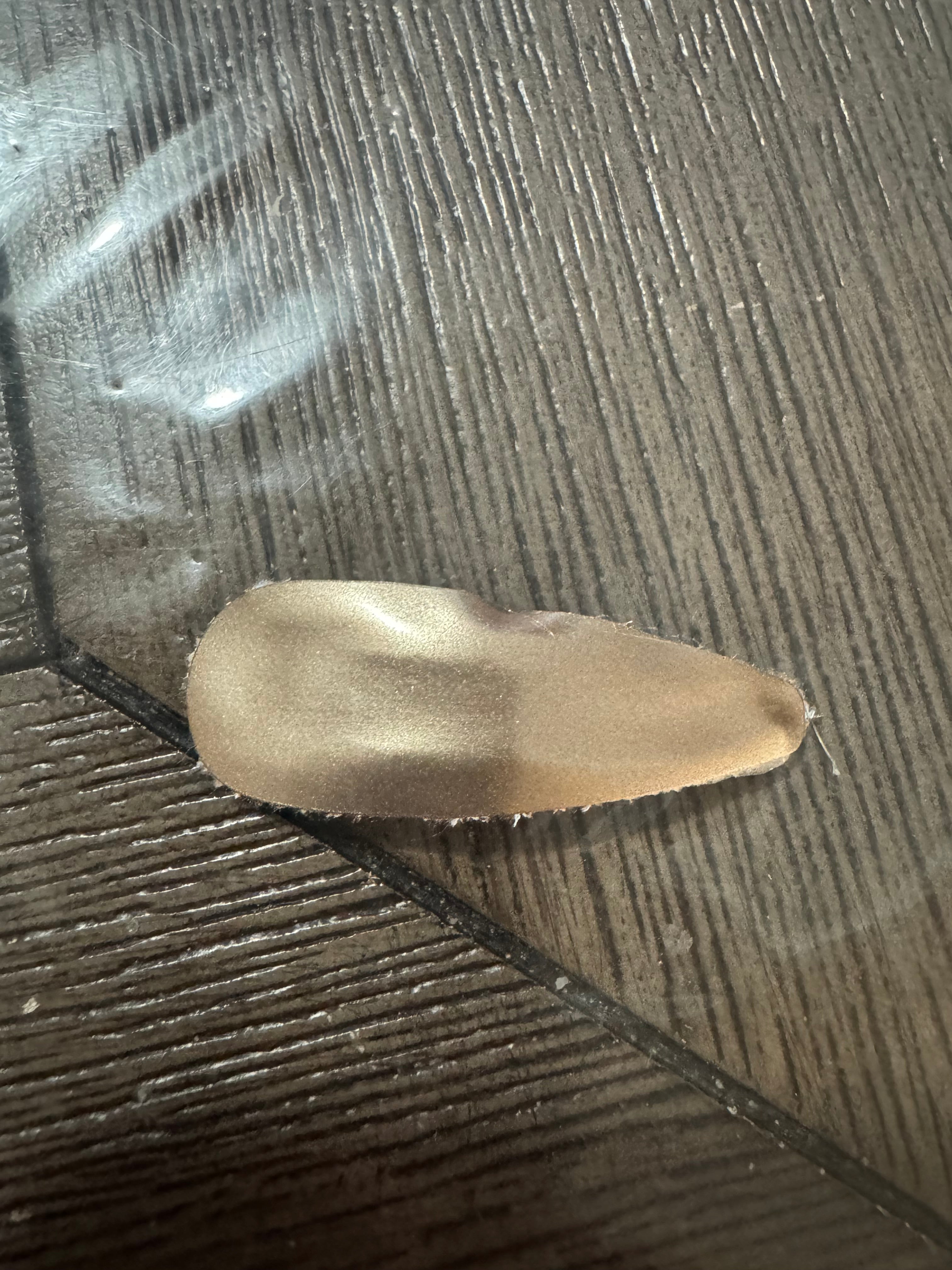 Gold snap clip