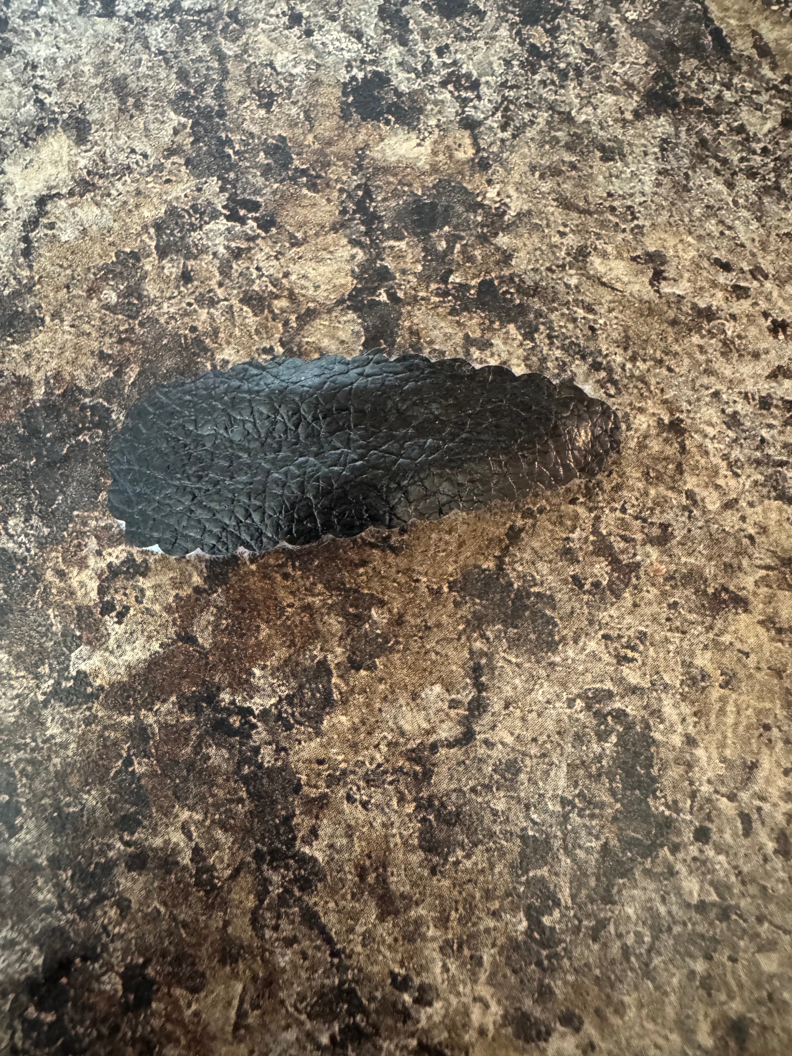 Black scalloped snap clip